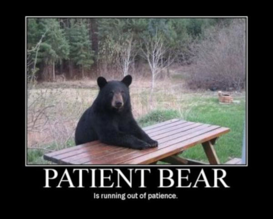 patient bear out of patient