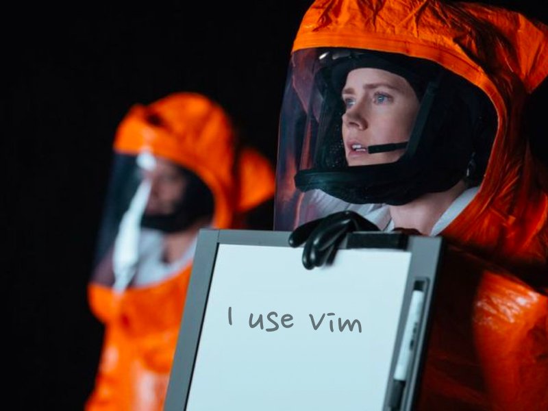 I use vim